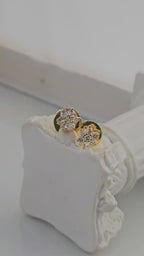 RM_EAR74 Rositas Earrings